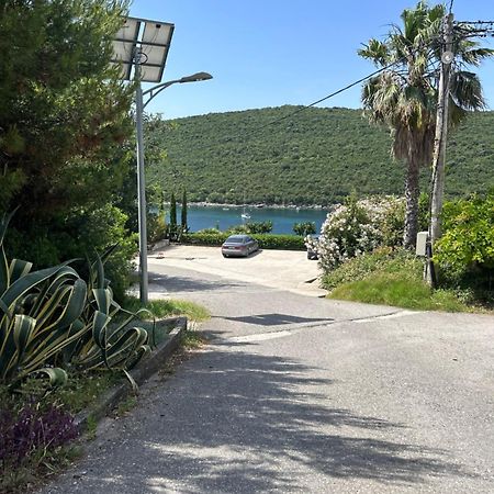 Lazarus Bigova Apartments Tivat Dış mekan fotoğraf